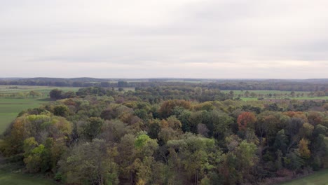 areal drone footage of trees with autumn colors taken at place called uetz in brandenburg, germany