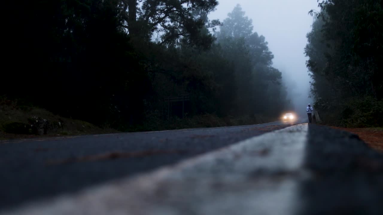Foggy road in the dark, misty forest at late autumn with a car and a person in the distance, Tenerife
