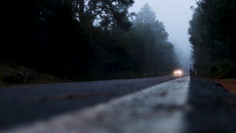 foggy road in the dark, misty forest at late autumn with a car and a person in the distance, tenerife