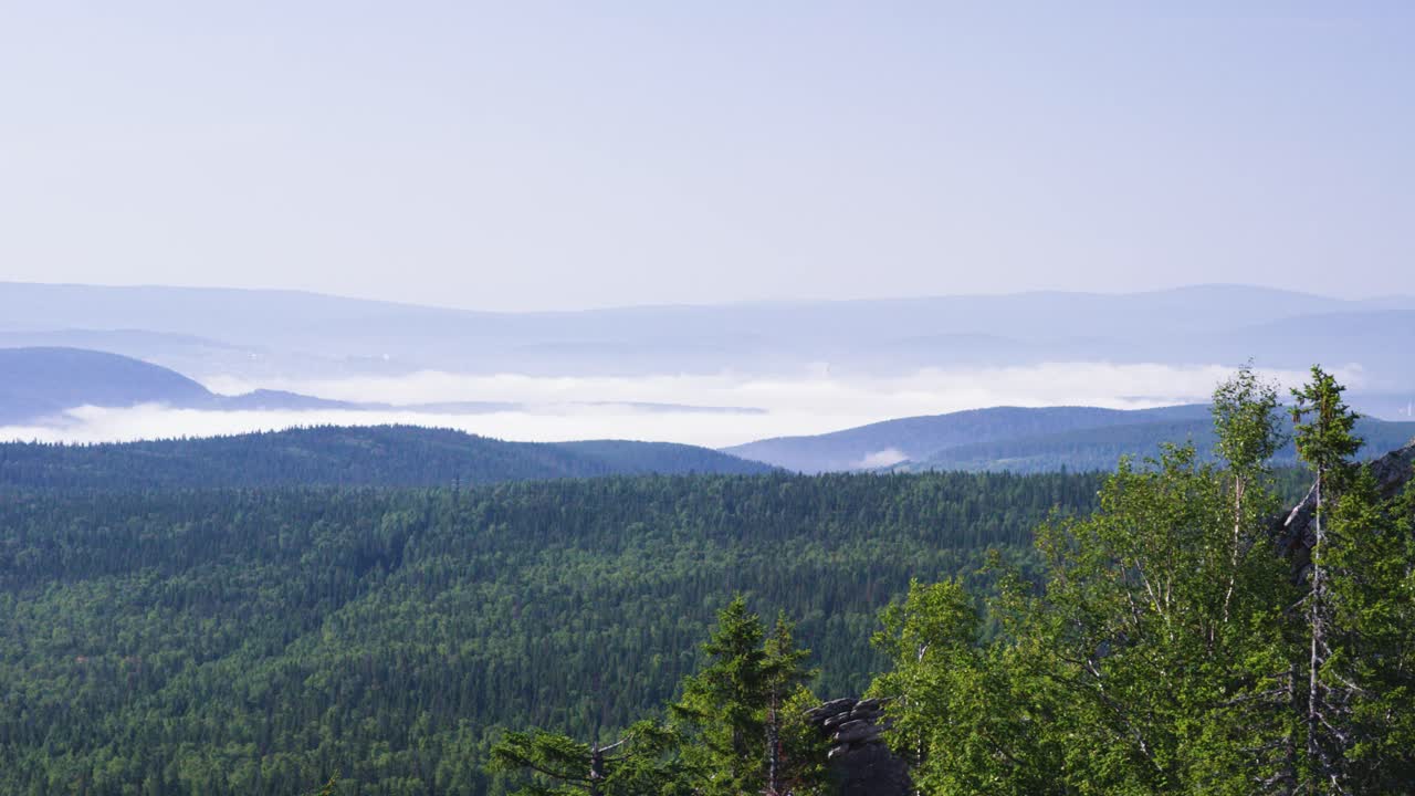 숲 이 있는 안개 가 가득 한 산악 풍경