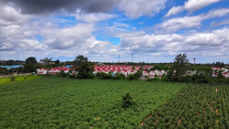 Luftdrohnenclip,-Der-über-Felder-In-Der-Landschaft-Thailands-Aufsteigt-Und-Ein-Dorf-Enthüllt