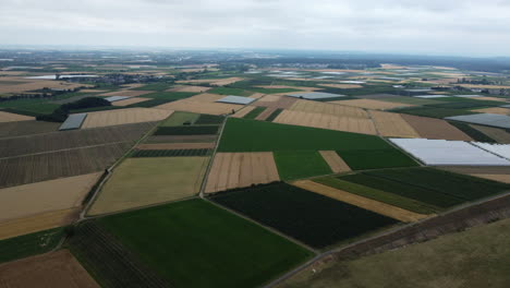 aerial view of agricultural fields