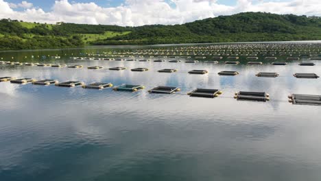 aerial view of net ponds with fish farming in the river