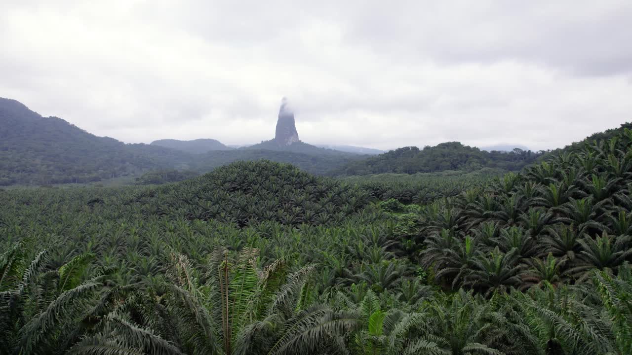 Pico Cão Grande, São Tomé — a dramatic volcanic plug rising from lush rainforest in Obô Natural Park, an iconic African landmark