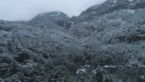 schneebedeckte bergwaldlandschaft