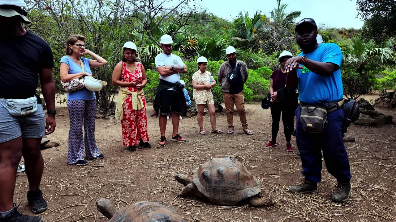 A guided group tour learning about tortoises and conservation efforts at François Leguat Reserve, Rodrigues Island.