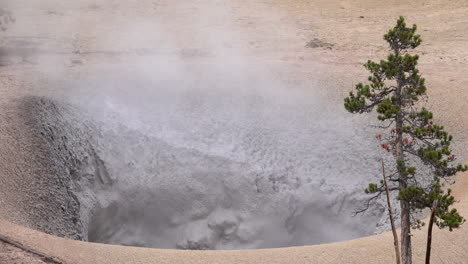 mud volcano at yellowstone national park