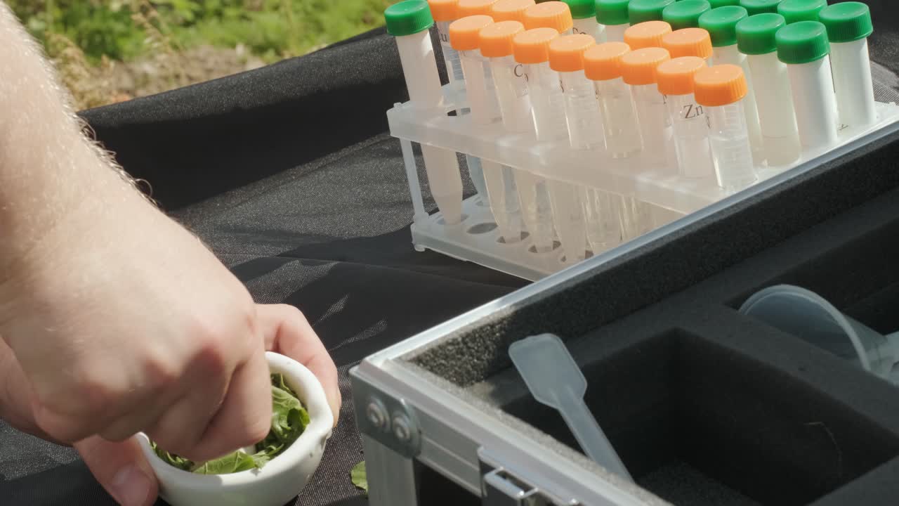 asistente de laboratorio que lleva a cabo investigaciones sobre plantas en el campo