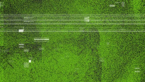 white shapes against flickering textured green background