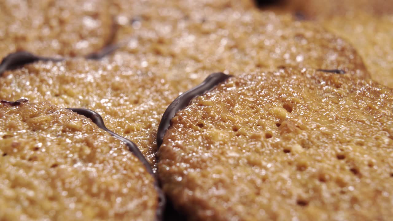 다크 초콜릿 층으로 된 신선한 오트밀 프리미엄 쿠키