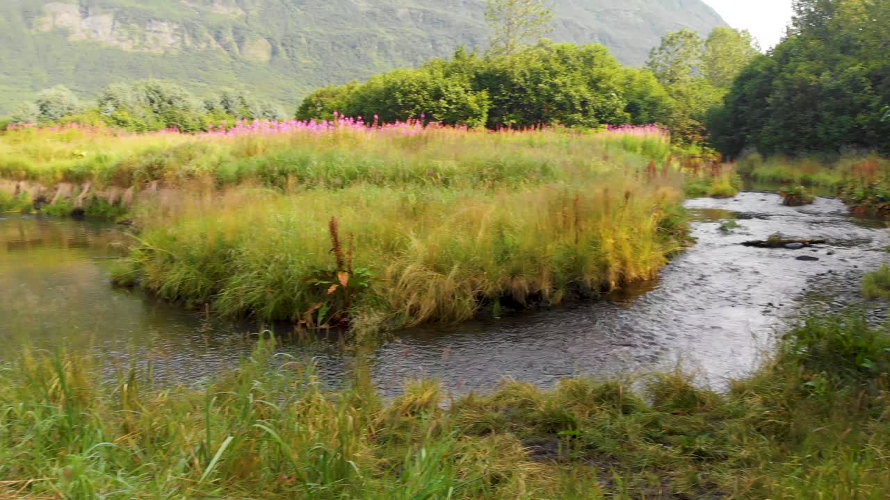 video de dron de 4k del sendero de la granja en valdez ak durante el día soleado de verano