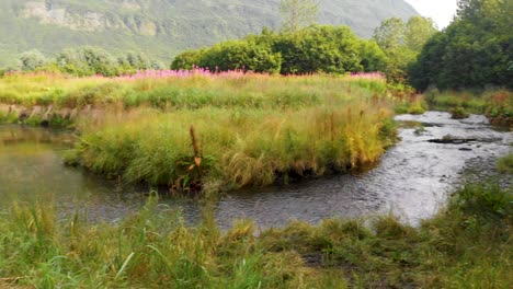 4K-Drohnenvideo-Des-Homestead-Trail-In-Valdez-Ak-An-Einem-Sonnigen-Sommertag