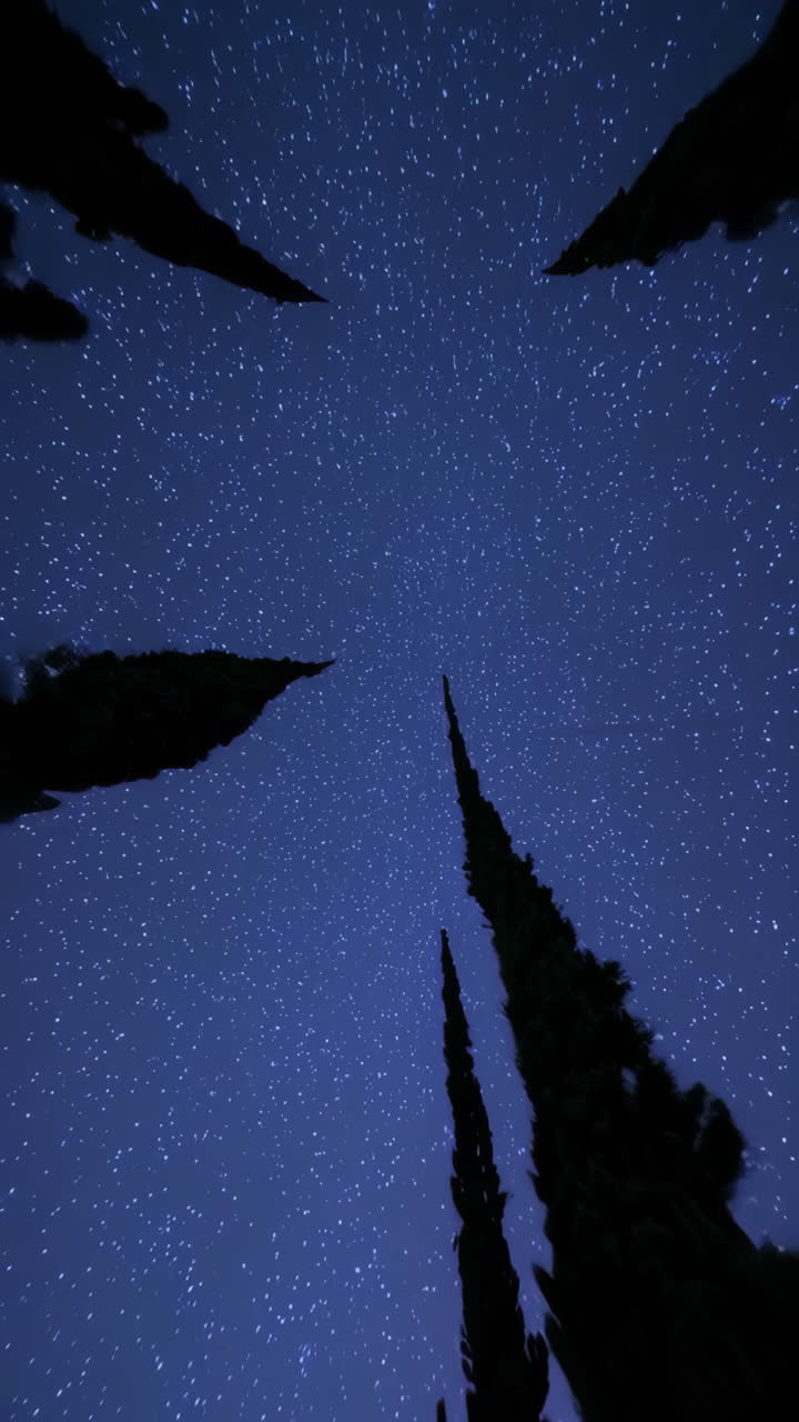 Starry Night Landscape with Cypress Trees