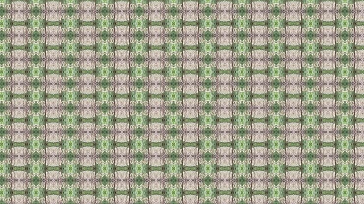 Geometry ethnic pattern