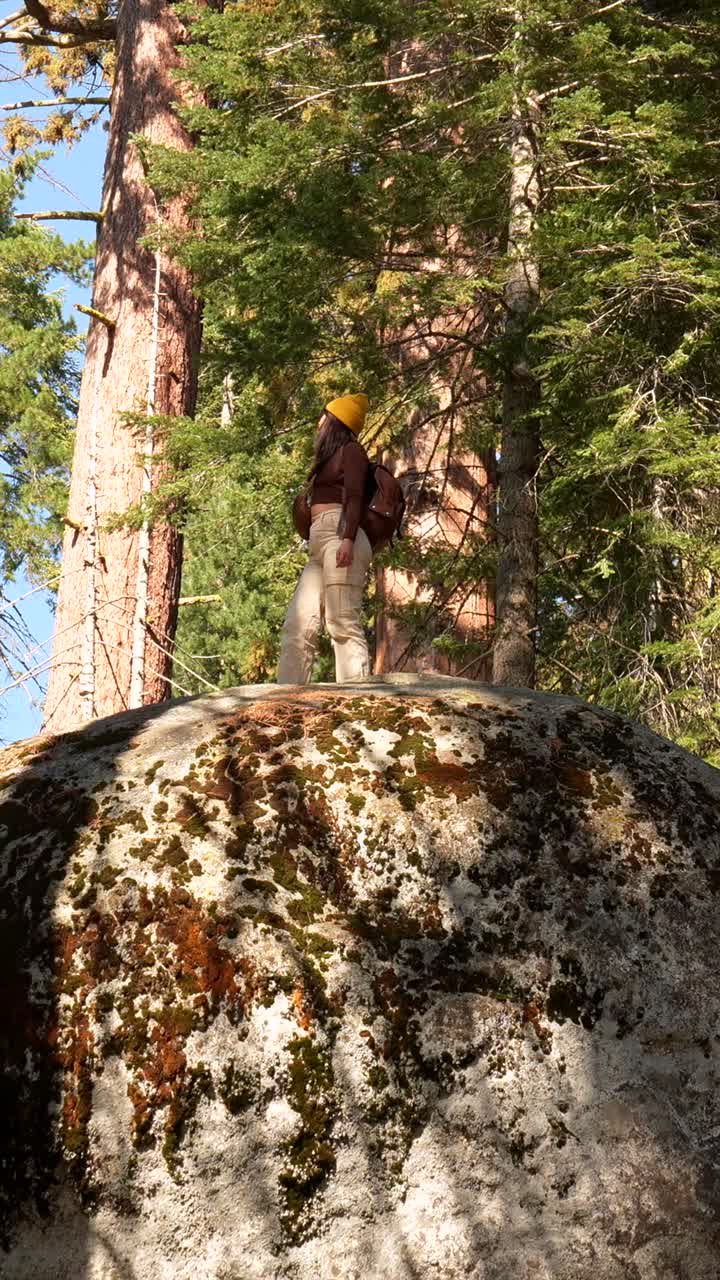 Woman Hiker Climbs and Stands on Large Mossy Rock in Sunny Forest