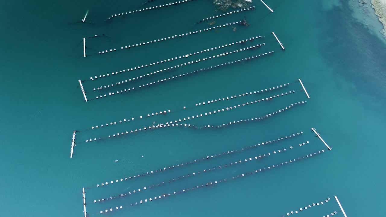 칼즈배드 석호의 굴 양식장을 드론으로 보기