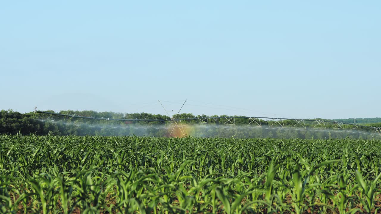 농작물 관개는 중앙 피보트 스프링클러 시스템을 사용합니다.