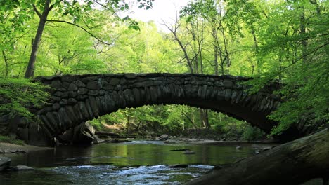 Una-Toma-Estática-De-Ciclistas-Y-Corredores-Cruzando-El-Puente-Boulder-En-El-Parque-Rock-Creek-En-Un-Hermoso-Día-De-Primavera-En-Washington,-D