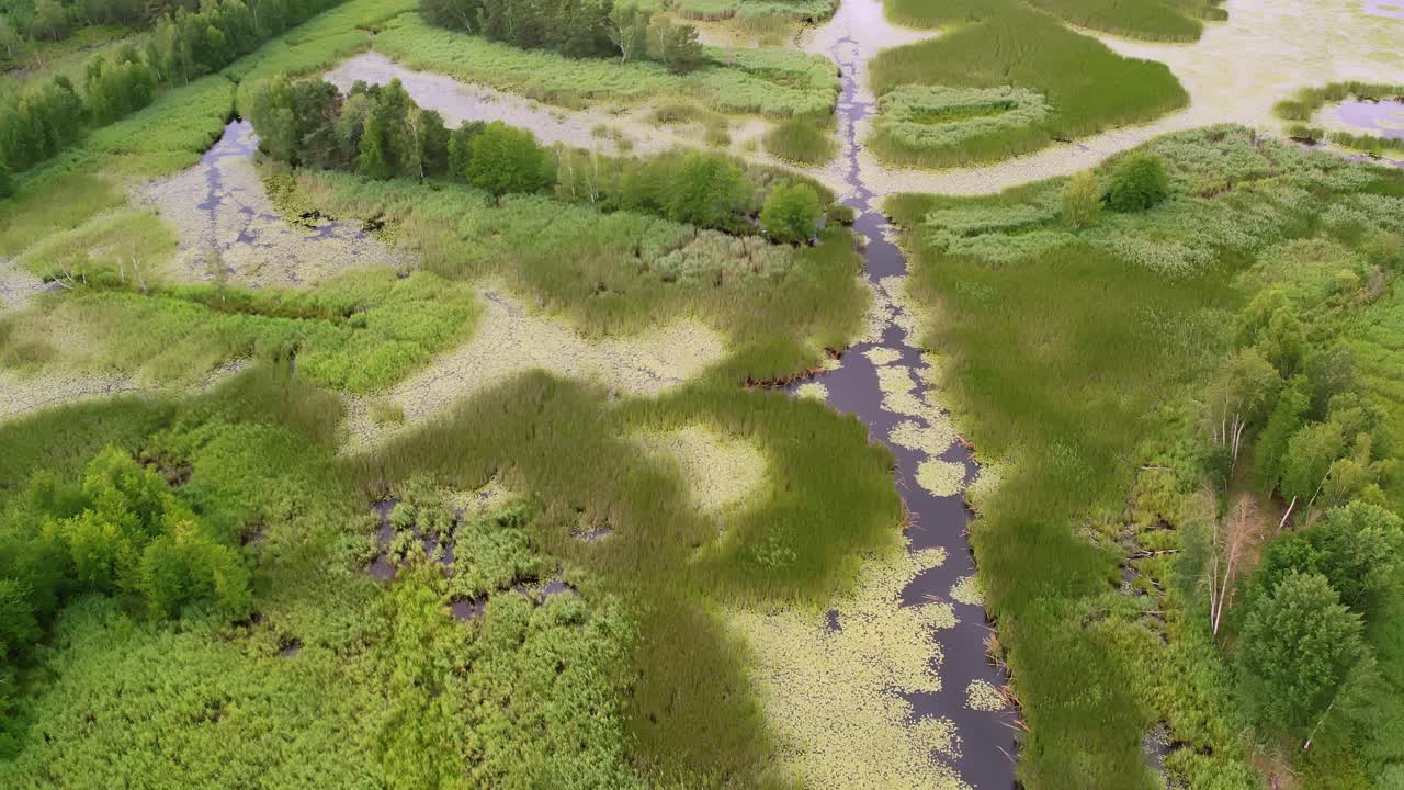 Nature Pattern: Niemodlin Ponds Wetland from Above