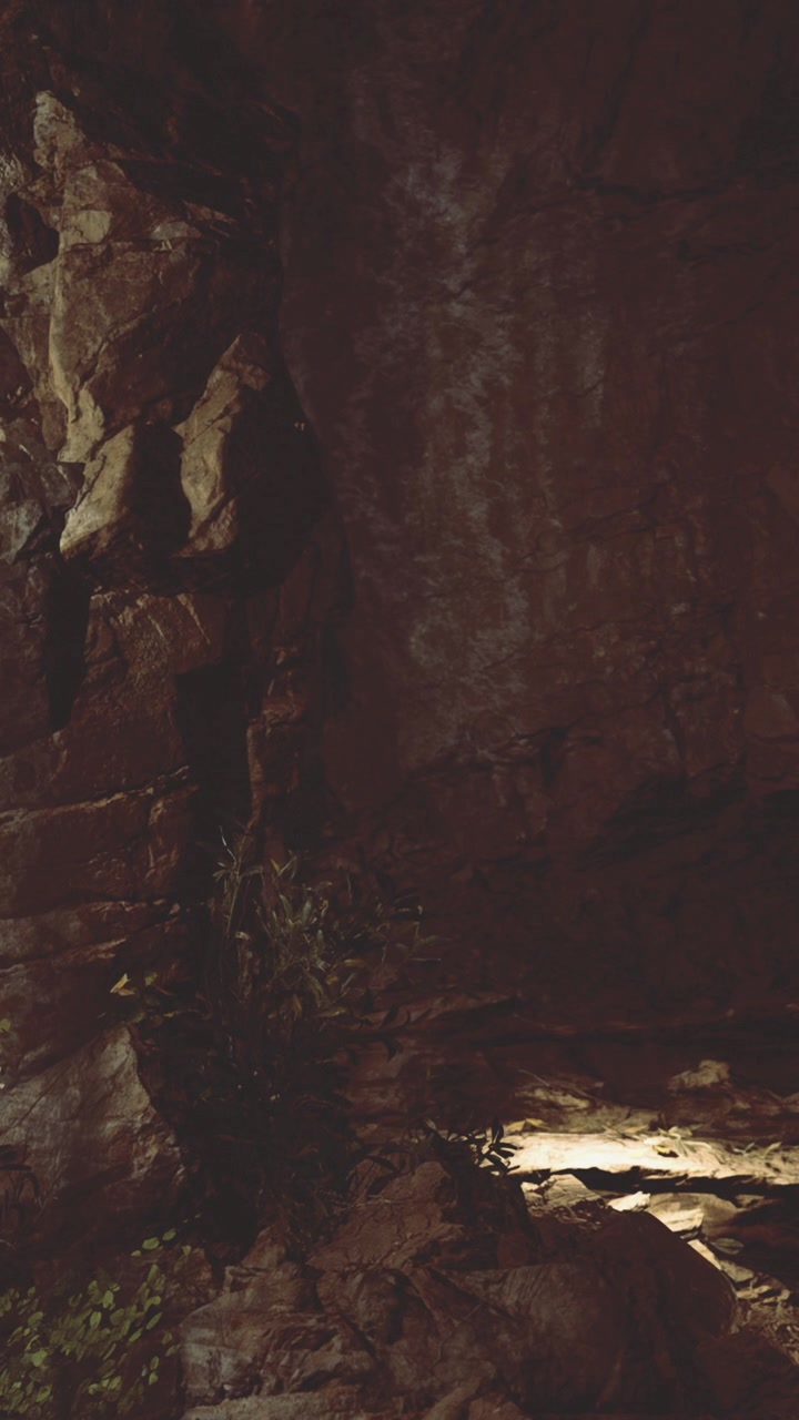 Exploring a rocky cave with minimal light and natural vegetation around