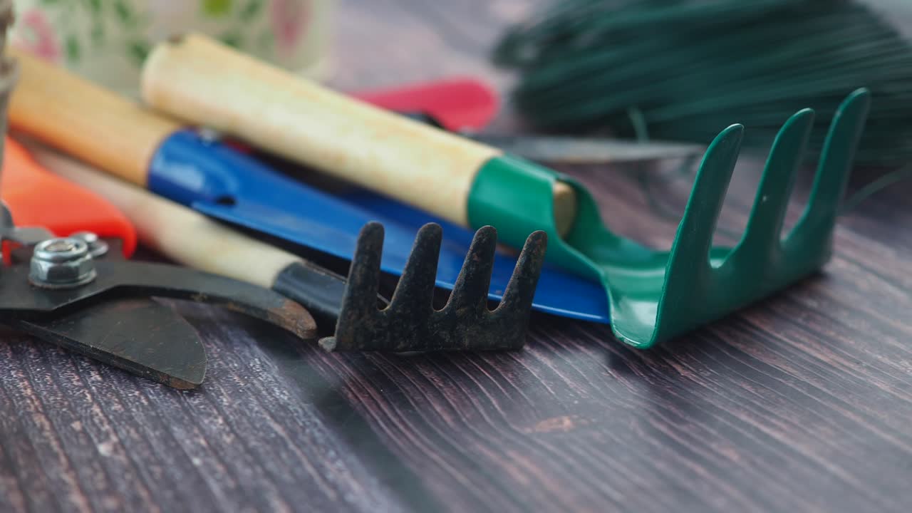 Gardening tools on a wooden surface