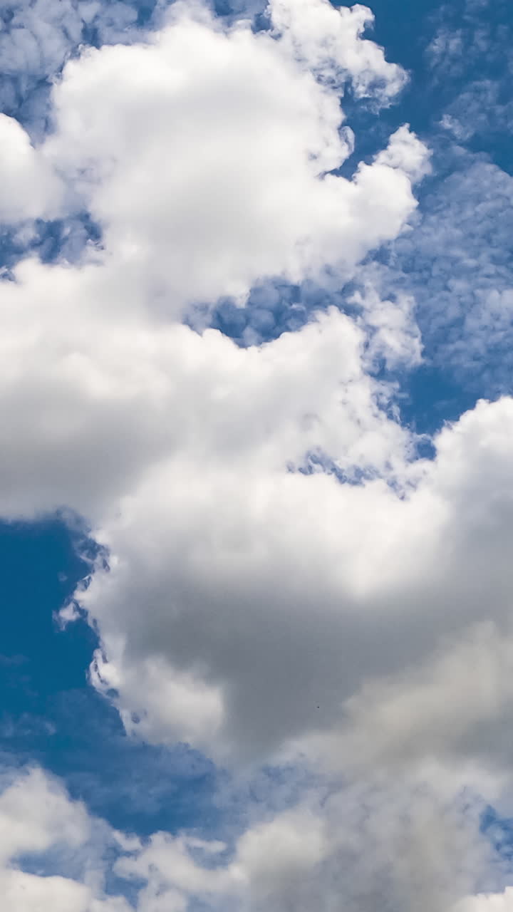 Fluffy white clouds forming in the atmosphere. Light stratus cloudscape at backdrop. Low angle view. Timelapse. Vertical video