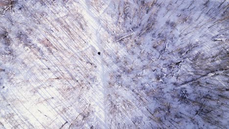 an aerial drone flies overhead of a person walking along a forest winter path covered in snow on a sunny day