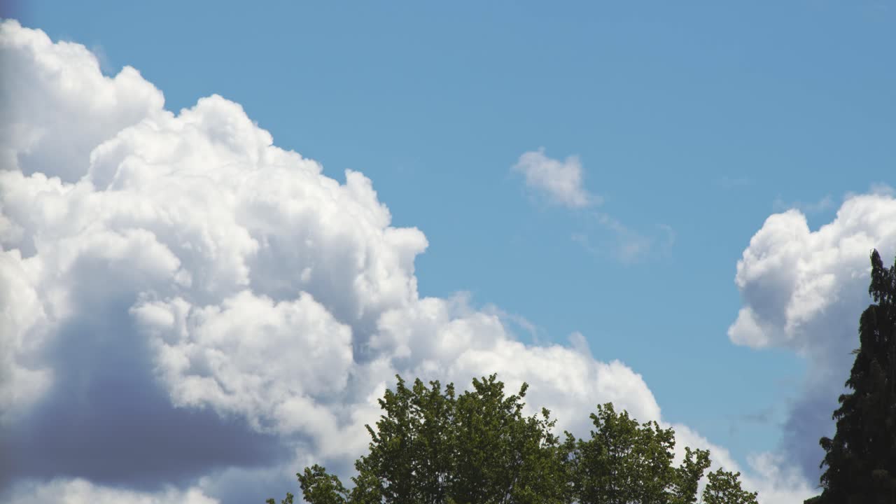 Clouds with trees underneath and beside - Timelapse