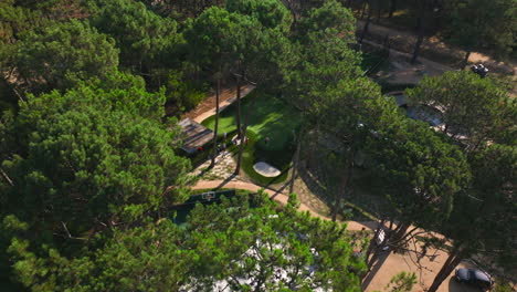 Aerial-views-of-a-vibrant-golf-sports-complex-surrounded-by-a-lush-pine-forest