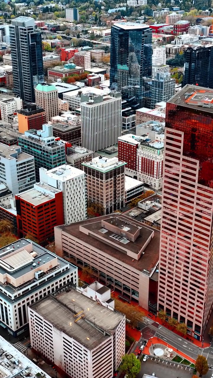 Arquitetura Variada no Panorama da Portland Contemporânea, Oregon, EUA. Drone Descendo Sobre a Área Urbana Durante o Dia. Vídeo Vertical