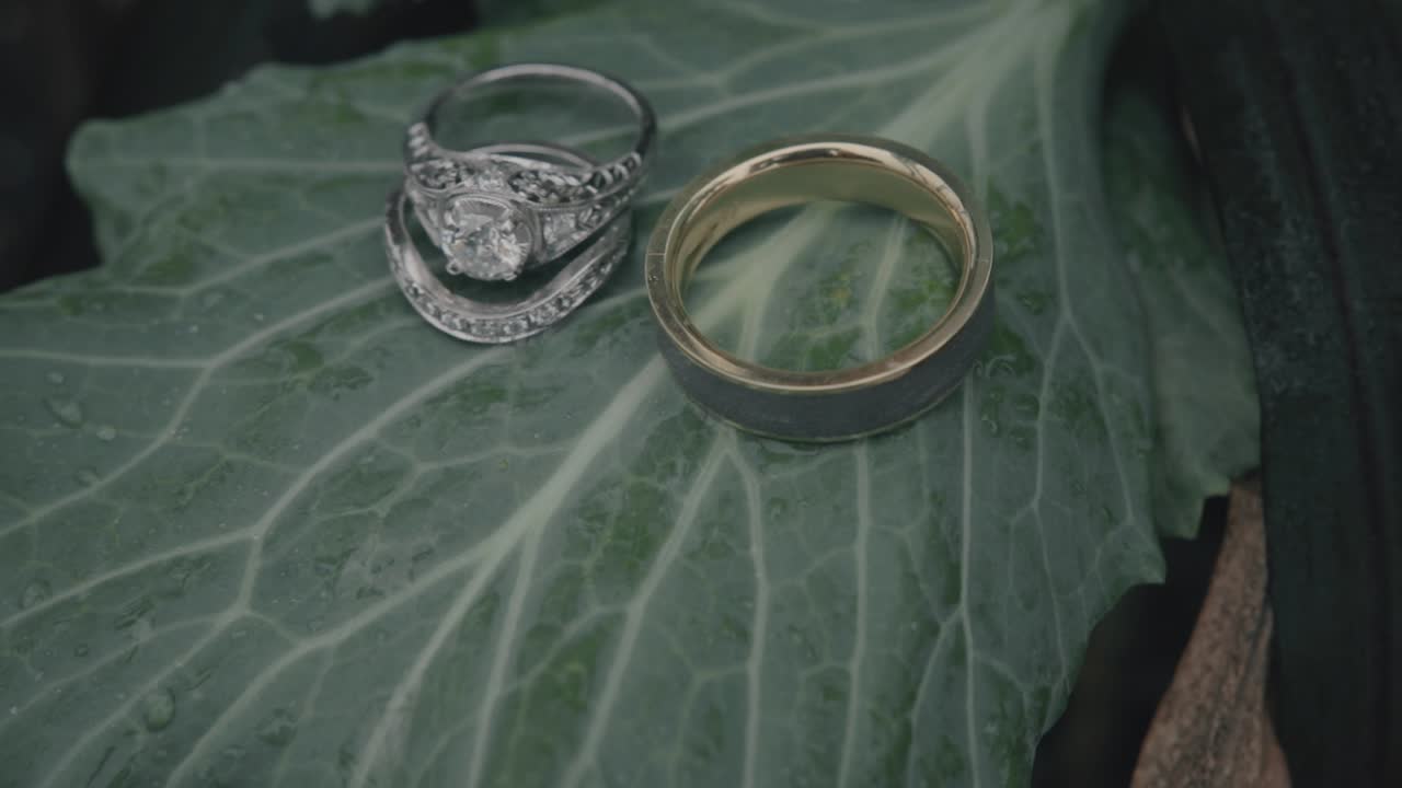 Dolly shot of the camera moving away from two wedding rings laying on a green leaf