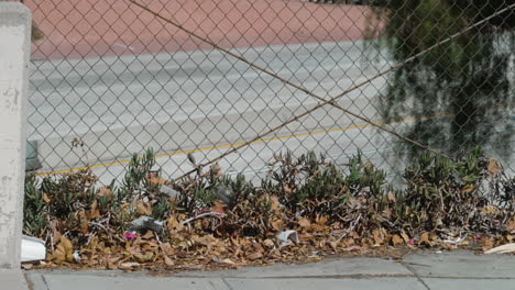 a timelapse of heavy freeway traffic during rush hour with garbage in the foreground