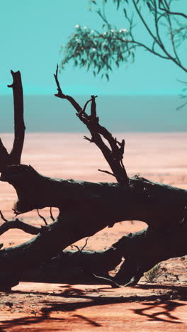 silhouette of a dead tree in a desert landscape