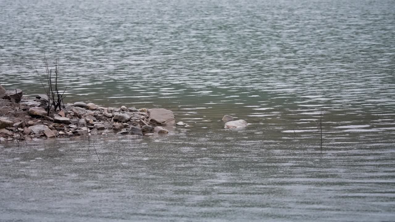 물 표면에 떨어지는 방울