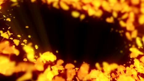 spin of autumn leaves,ginkgo,cg animation,loop