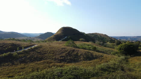 hilly landscape with domestic farm animals grazing over plains