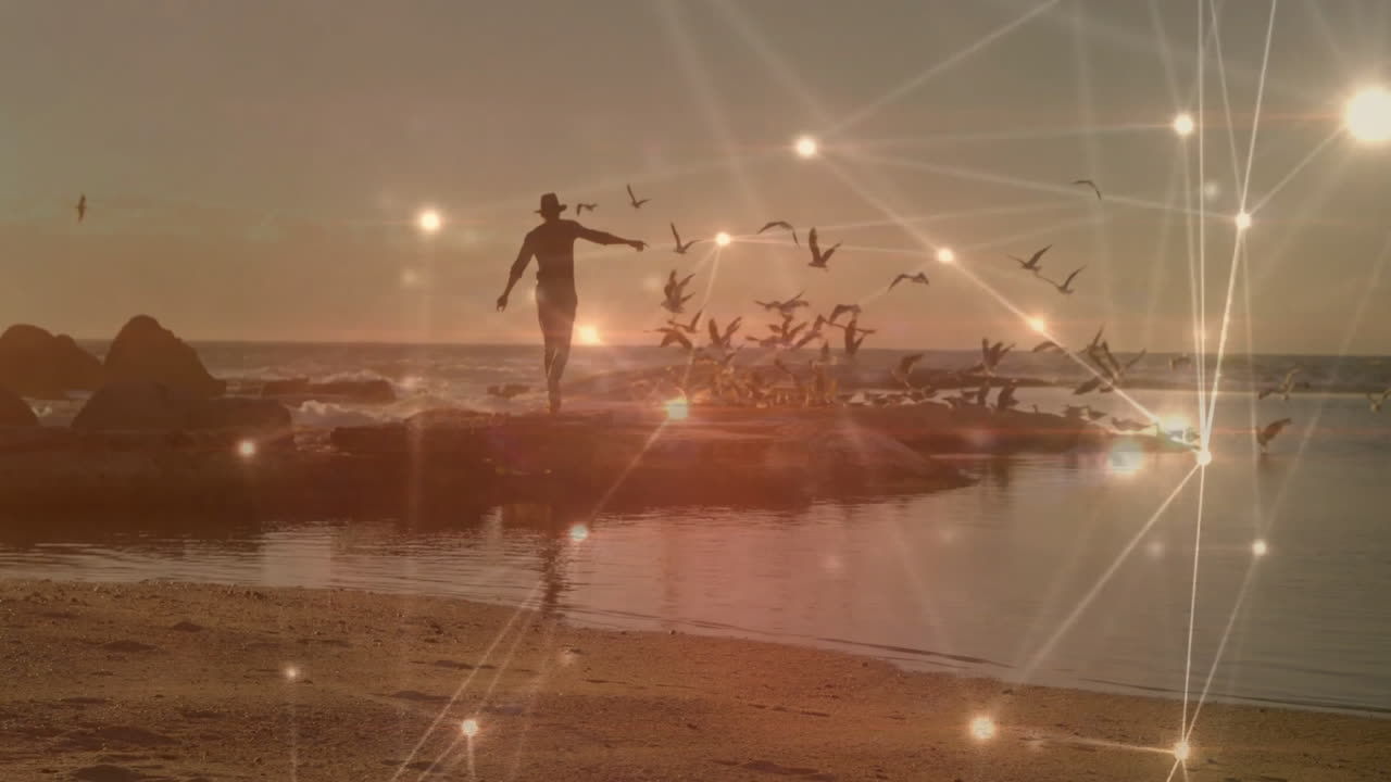 Man standing on rocks with birds flying, overlaid with glowing network animation