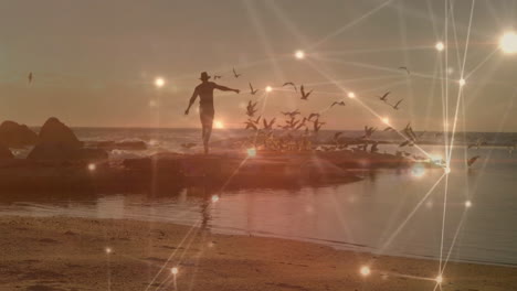 man standing on rocks with birds flying, overlaid with glowing network animation