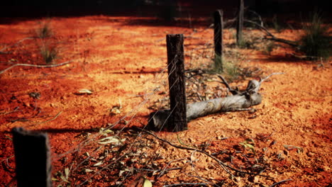 barbed-wire-fence-in-deserted-landscape