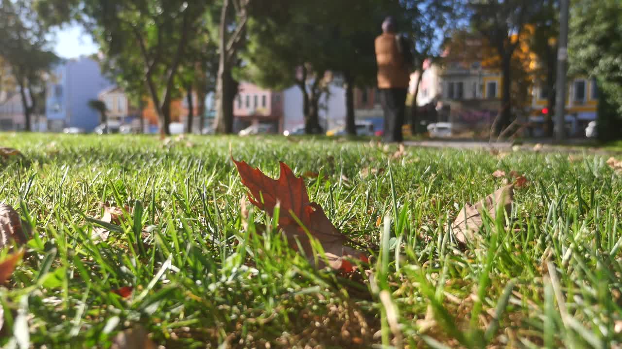 Autumn park scene in a city