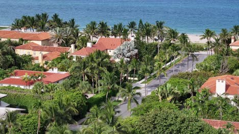 luxury housing between palm trees near sandy beach and ocean of west palm beach in summer