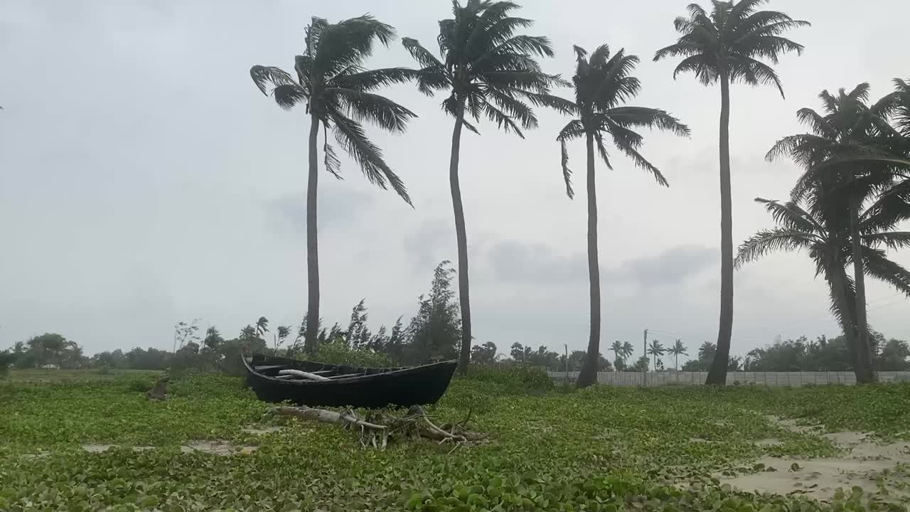 코코 ⁇  나무 가 있는 섬 에서 혼자 서 있는 좌초 된  ⁇ 시 배