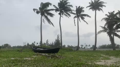 a stranded fishing boat standing alone in an island with coconut trees