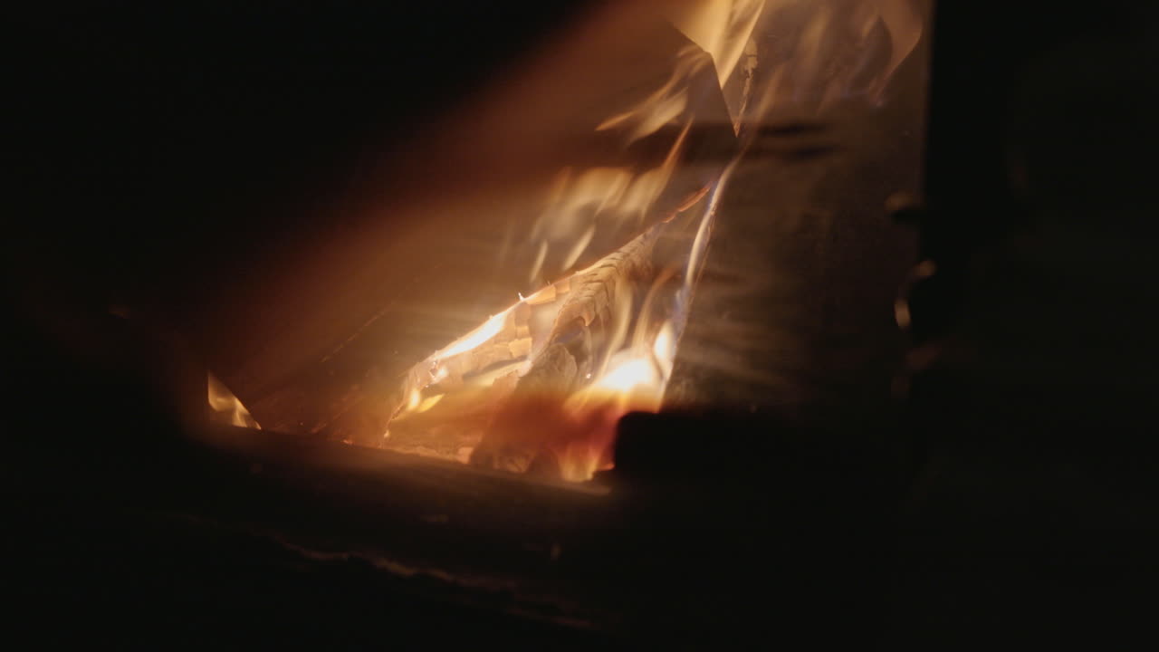 연료 나무를 태우는 것