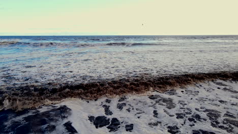 braune wellen, die sich auf den strand rollen, als sich an der mündung des flusses organische pflanzenstoffe und trümmer nach küstenfluten ablagern, luft
