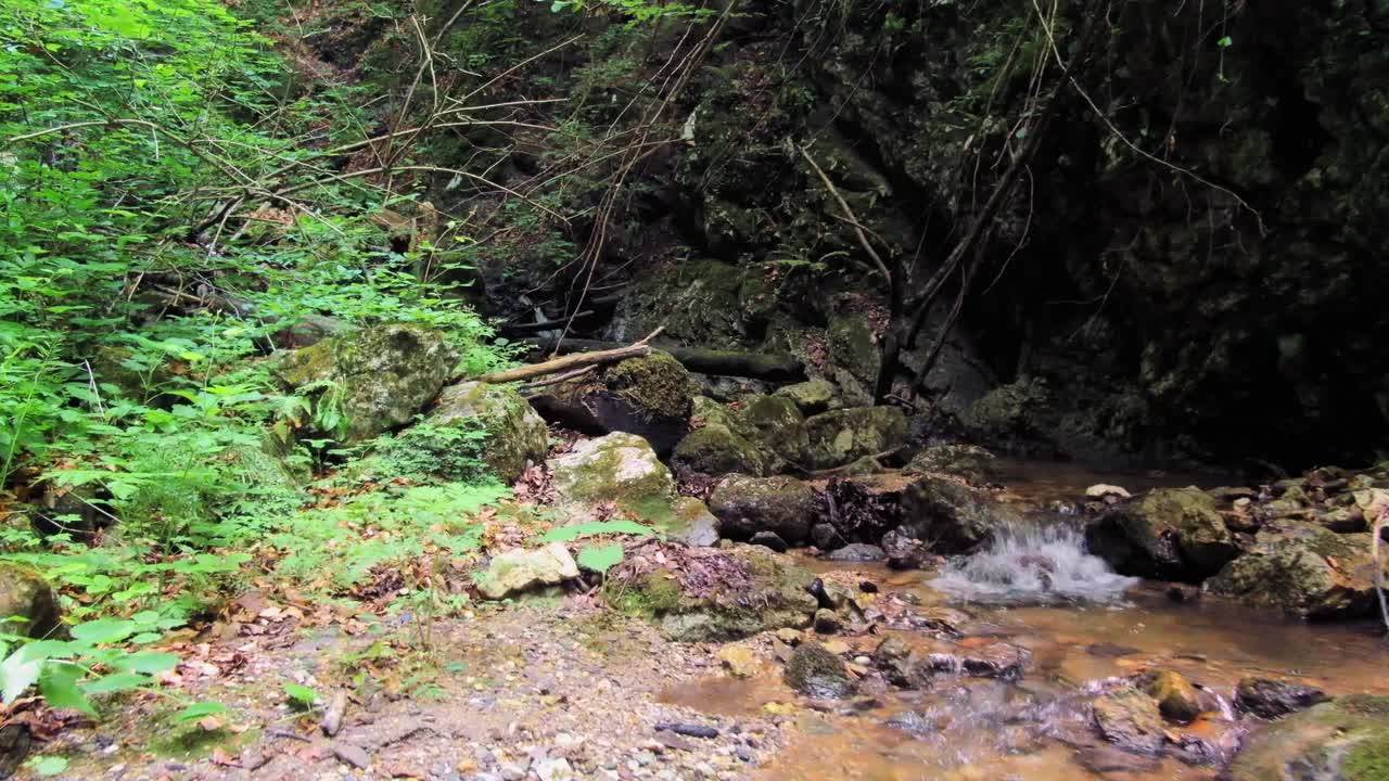 Droneoptagelse i medium bred engel, dolly zoom ind af en strøm, sten og væltede træer i canyon hudicev greben om dagen