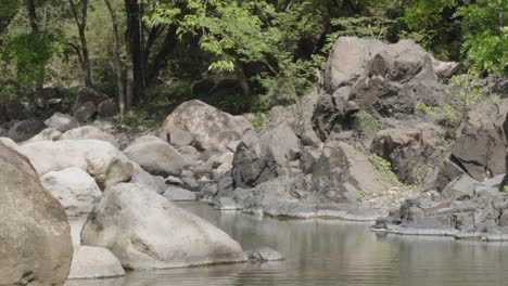 small stream of water in the river surrounded by many rocks and leafy trees in honduras