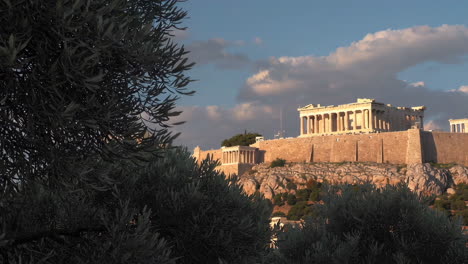 acropolis of athens at sunset with olive trees