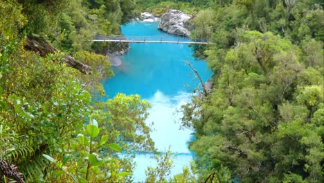 espectacular desfiladero de color turquesa visto a través del prístino bosque de podocarpos - paseo por el desfiladero del río hokitika, costa oeste