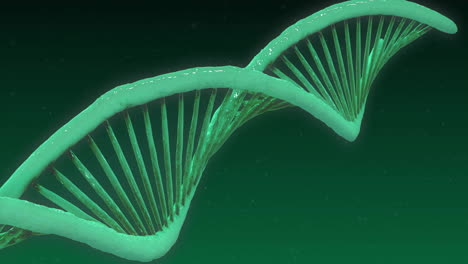 animación de una cadena de adn en fondo verde